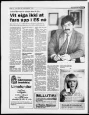 Síða 12
