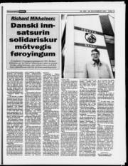 Síða 13
