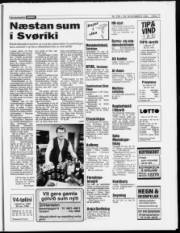 Síða 17