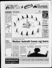 Síða 20