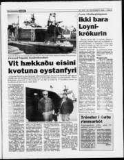 Síða 3