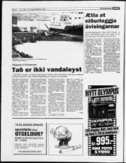 Síða 4