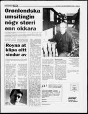 Síða 7
