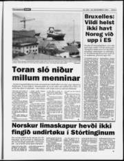 Síða 9