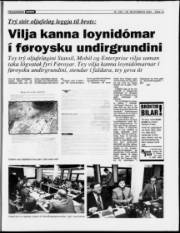 Síða 13