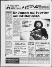 Síða 20