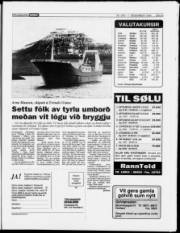 Síða 5