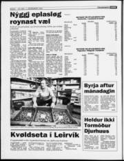 Síða 6