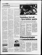 Síða 17