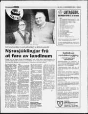 Síða 3
