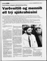 Síða 13