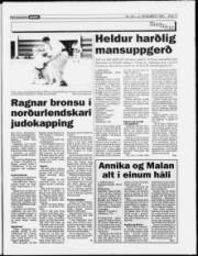 Síða 17