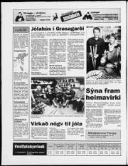 Síða 20