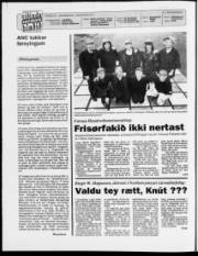 Síða 2