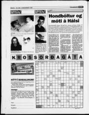 Síða 24