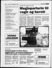 Síða 6