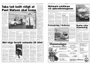 Síða 4