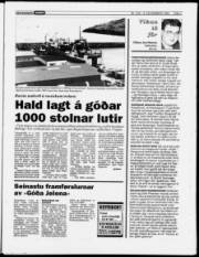Síða 7