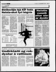 Síða 17