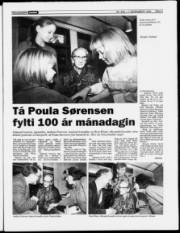 Síða 3