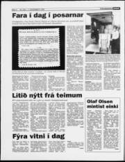 Síða 4