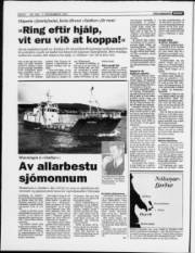 Síða 6