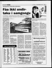 Síða 13