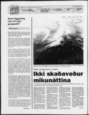 Síða 2