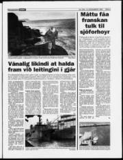 Síða 3