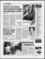 Síða 9