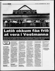 Síða 13