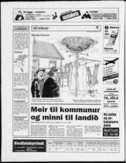 Síða 20