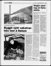 Síða 3