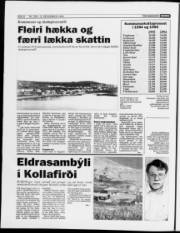 Síða 6