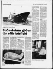 Síða 19