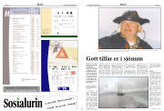 Síða 12