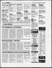 Síða 23