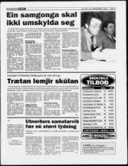 Síða 3