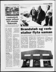 Síða 6