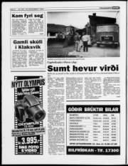 Síða 8