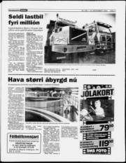Síða 3
