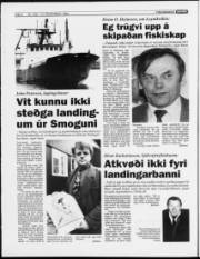 Síða 6