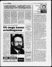 Síða 7