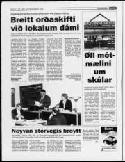 Síða 8