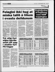 Síða 13