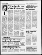 Síða 17