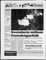 Síða 20