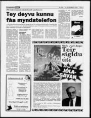 Síða 3