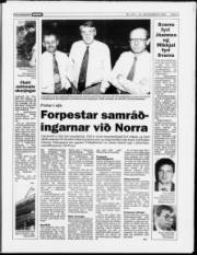 Síða 5