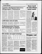 Síða 17